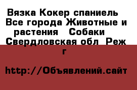 Вязка Кокер спаниель - Все города Животные и растения » Собаки   . Свердловская обл.,Реж г.